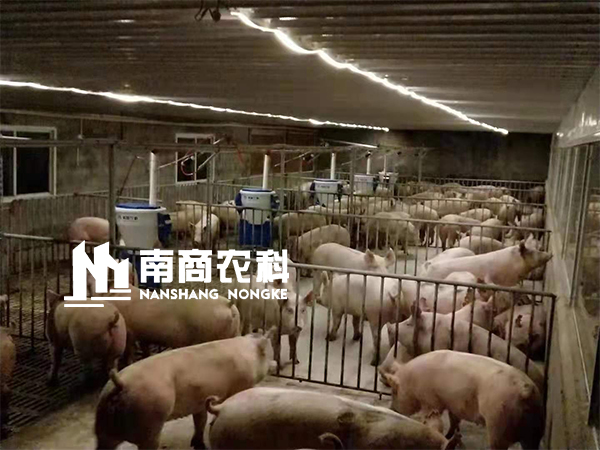 傳統(tǒng)人工養(yǎng)殖即將被取代，智能養(yǎng)殖大勢所趨，小智倌嶄露頭角