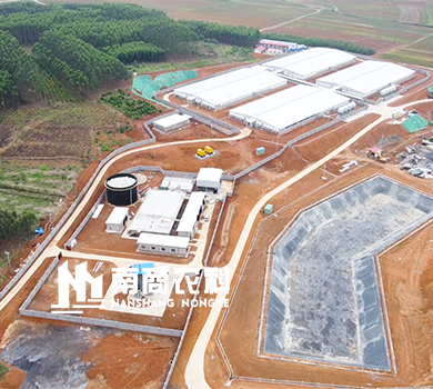 南商農科：廣西桂平規(guī)模16000頭母豬場