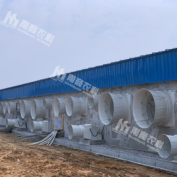 養(yǎng)豬場風(fēng)機(jī)