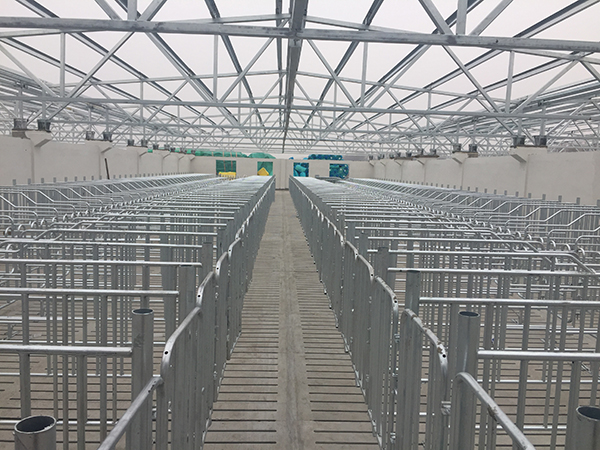 養(yǎng)豬場母豬定位欄多少錢一套