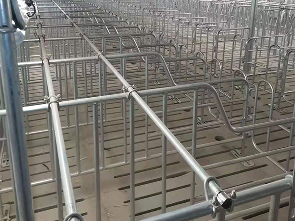 存欄500頭母豬養(yǎng)豬場建設方案