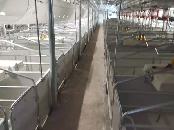 養(yǎng)豬的成本大概多少錢