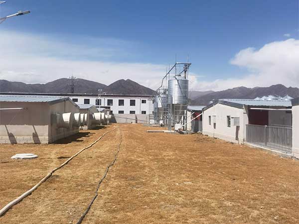南商農(nóng)科豬場建設(shè)EPC-西藏拉薩高標準生豬養(yǎng)殖場