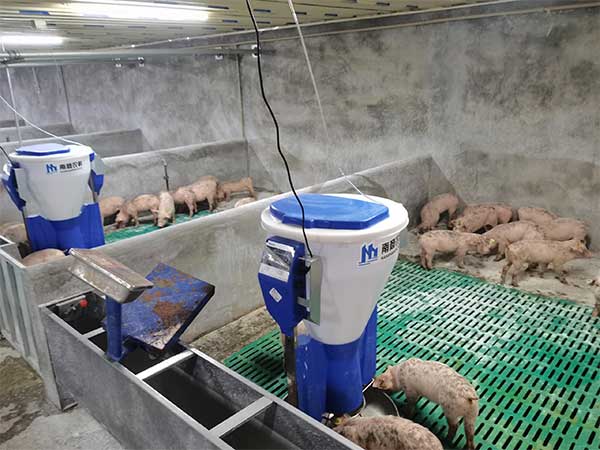自動(dòng)化養(yǎng)豬場(chǎng)設(shè)備都有哪些呢？