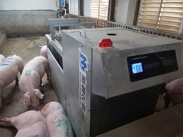 豬用液態(tài)飼喂系統(tǒng)多少錢(qián)一套