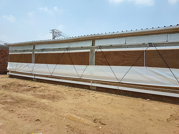 夏季到了，豬舍應(yīng)該選擇什么樣降溫設(shè)備？