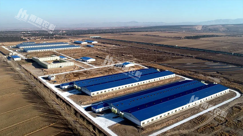 內(nèi)蒙古化德縣百萬(wàn)頭生豬養(yǎng)殖項(xiàng)目