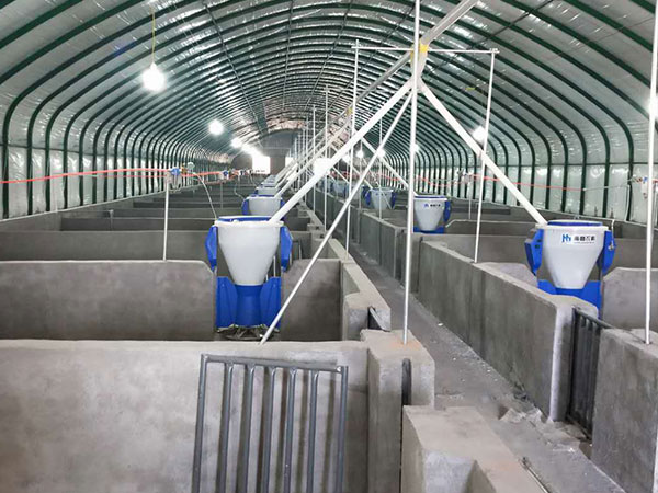 養(yǎng)豬催肥過程中，最基礎也最容易損失的五點