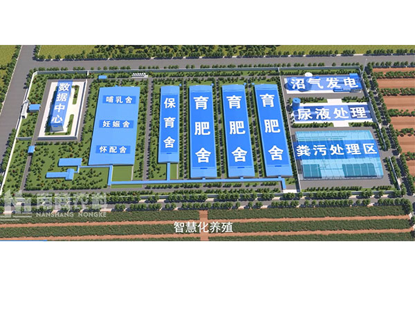 現(xiàn)代智慧養(yǎng)豬場怎么樣建設(shè)