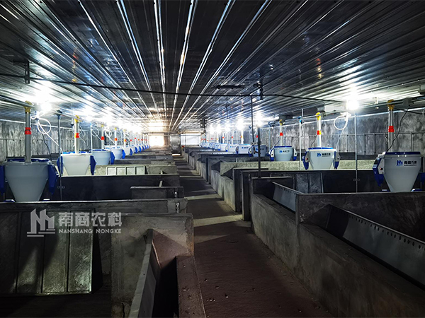 規(guī)?；F(xiàn)代化養(yǎng)豬設(shè)備的發(fā)展趨勢