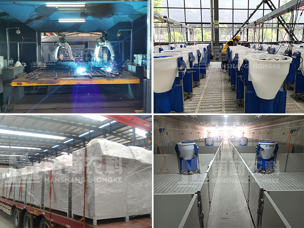 南商農(nóng)科攜手豐裕牧業(yè)——國(guó)內(nèi)母豬小群養(yǎng)再添示范！