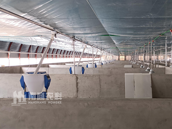 大型養(yǎng)豬場(chǎng)都是給仔豬選擇什么自動(dòng)料槽呢？