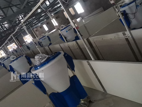 傳統(tǒng)養(yǎng)豬場(chǎng)改造升級(jí)為全自動(dòng)化設(shè)備養(yǎng)豬場(chǎng)需要怎么做