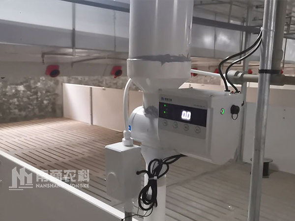 小智倌“家族”豬場(chǎng)智能精準(zhǔn)飼喂設(shè)備：助力豬場(chǎng)降本增效