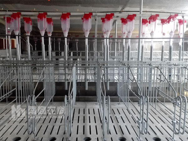 現(xiàn)代化豬場如何建設(shè)？