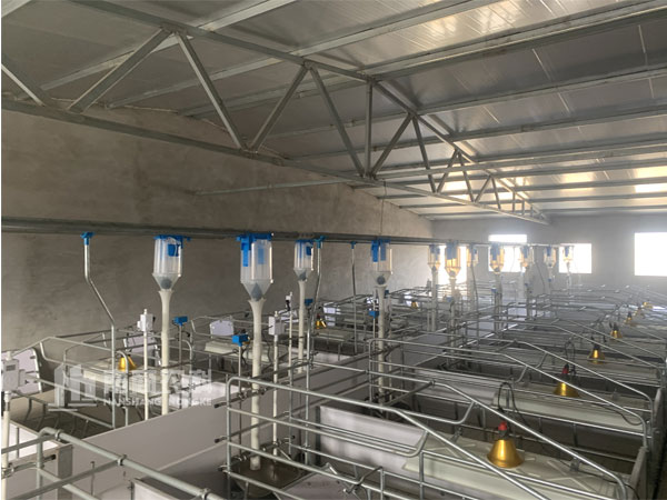 規(guī)?；i場選擇智能化飼喂系統(tǒng)優(yōu)點