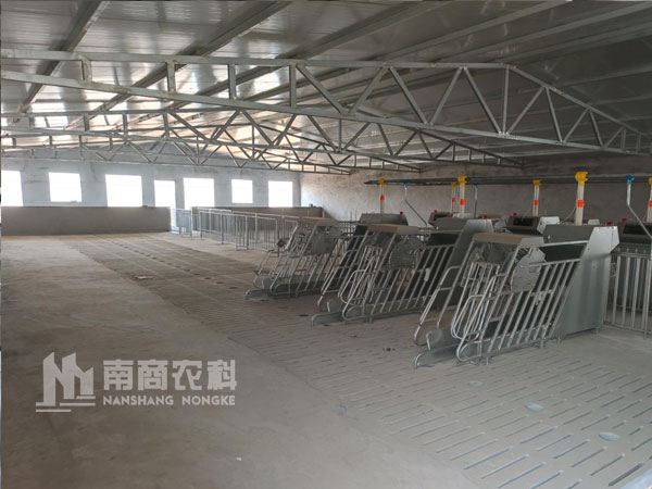 智能精準飼喂系統(tǒng)助力豬場飼料成本控制