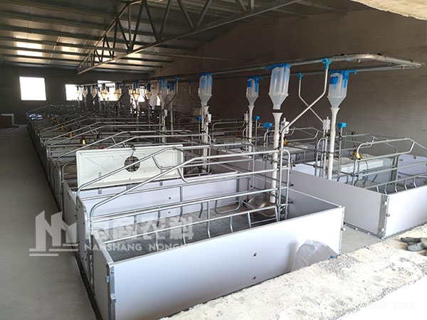 自動(dòng)化養(yǎng)豬設(shè)備如何提高乳豬的成活率？