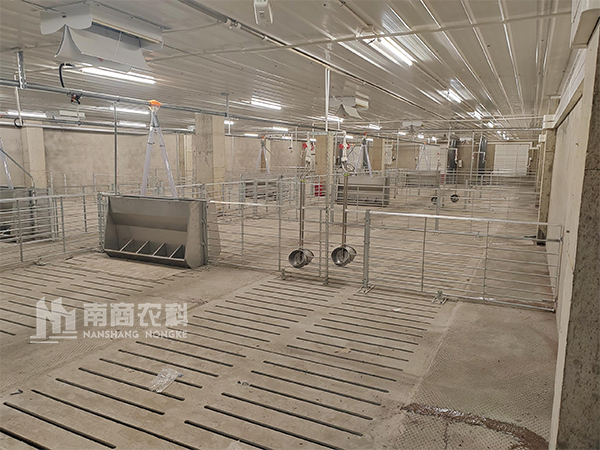 建設(shè)1000頭育肥舍，需要的投資預(yù)算多少？