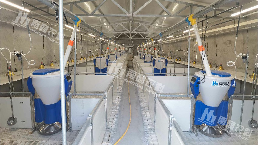 榮昌豬資源擴(kuò)繁場內(nèi)所使用的智能粥料器