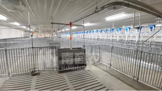 豬場過“年關(guān)”，這些事情千萬要做好！