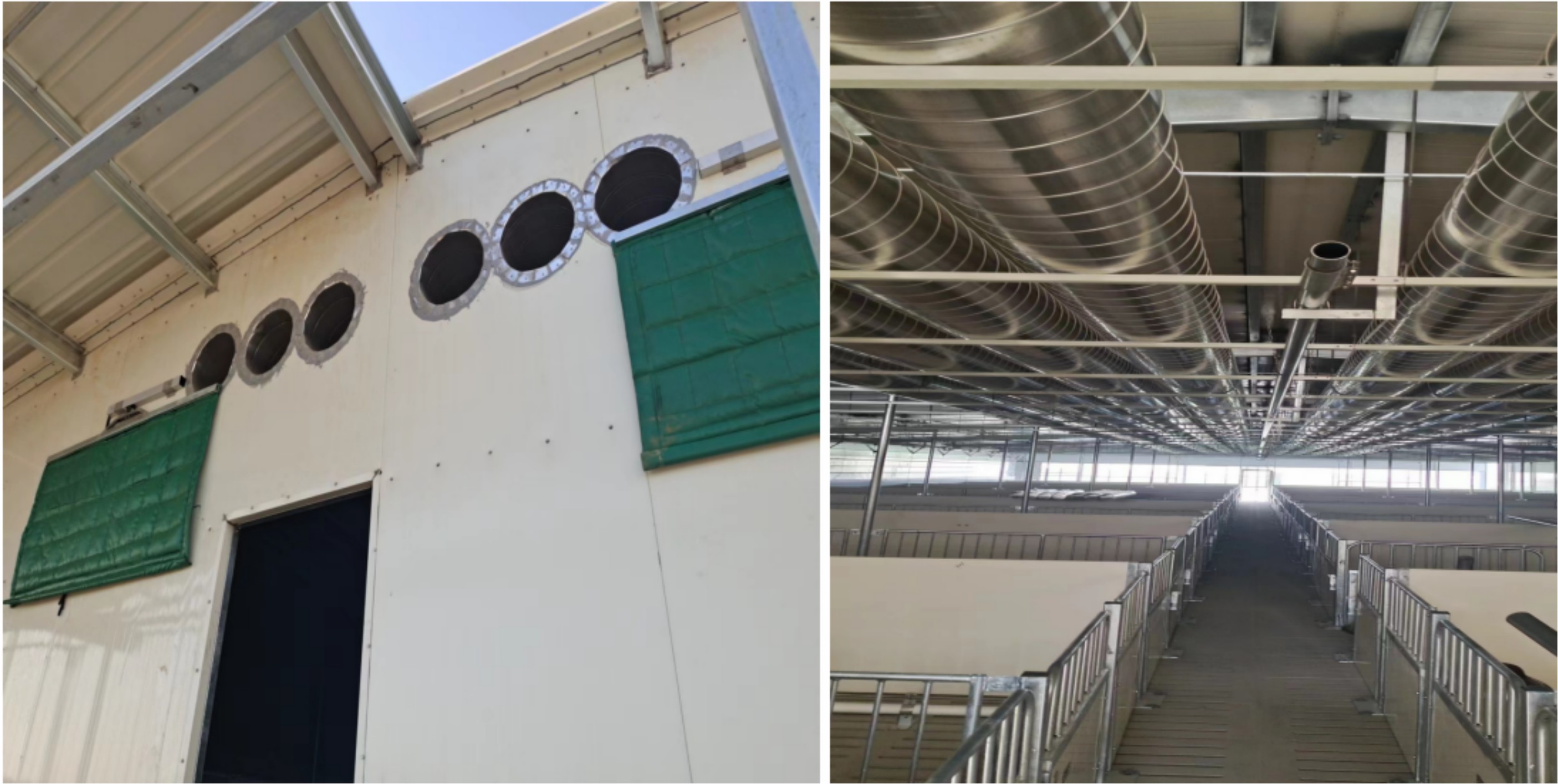 精準飼喂和精準通風(fēng)方案部分介紹1