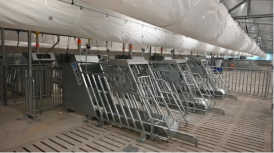 智能化母豬飼養(yǎng)5