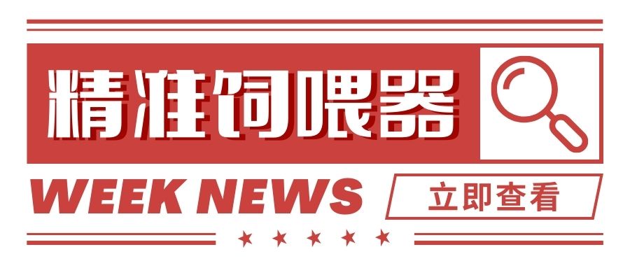 哺乳母豬精準飼喂與傳統(tǒng)飼喂對飼料成本和母豬性能的影響