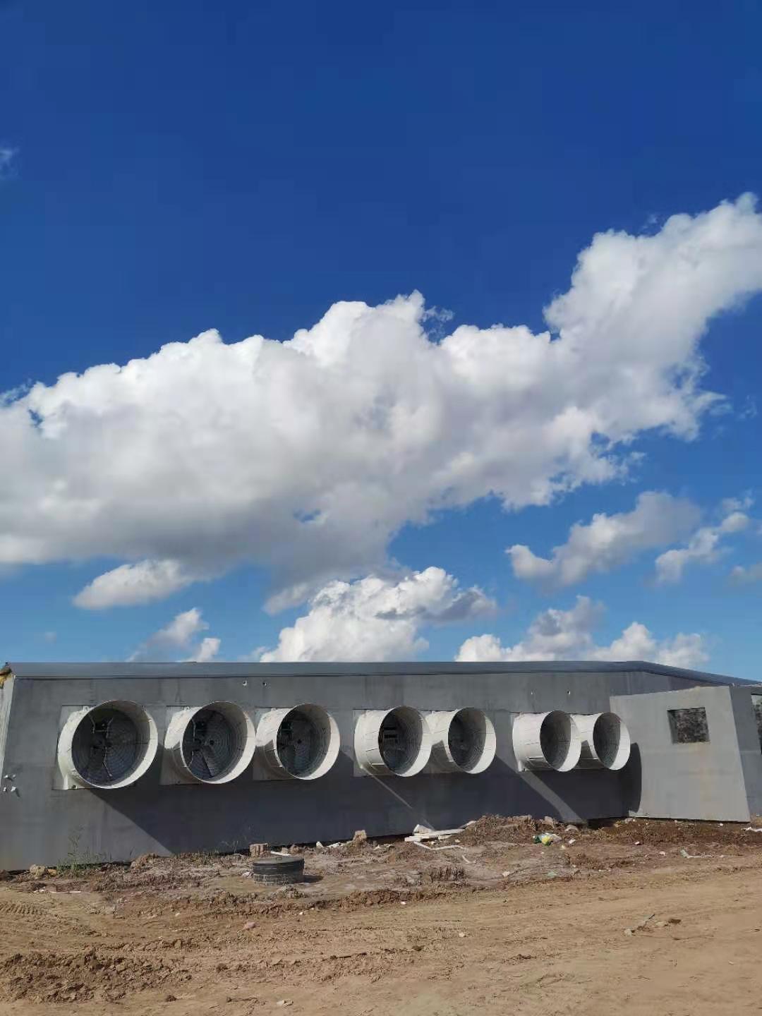 斷電報(bào)警，智能環(huán)控全方位保障養(yǎng)豬場生產(chǎn)