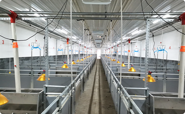 豬場設(shè)備EPC解決方案