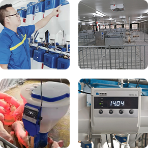 產(chǎn)品優(yōu)勢(shì)——整體國(guó)際先進(jìn),部分國(guó)際領(lǐng)先